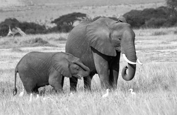 J1S2I34